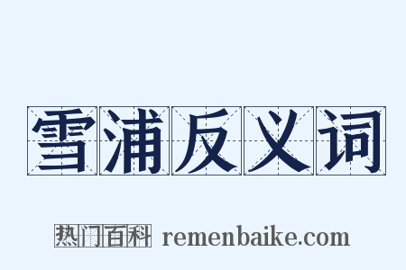 雪浦反义词是什么意思的图片